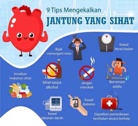 jantung
